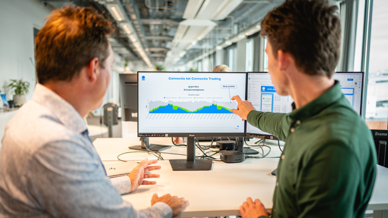 Lead Developer Energy Data Services