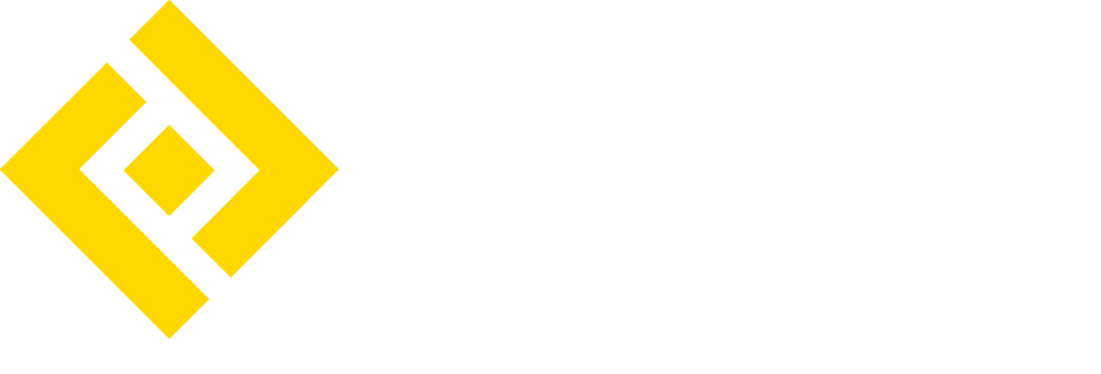 RAVO Holding BV