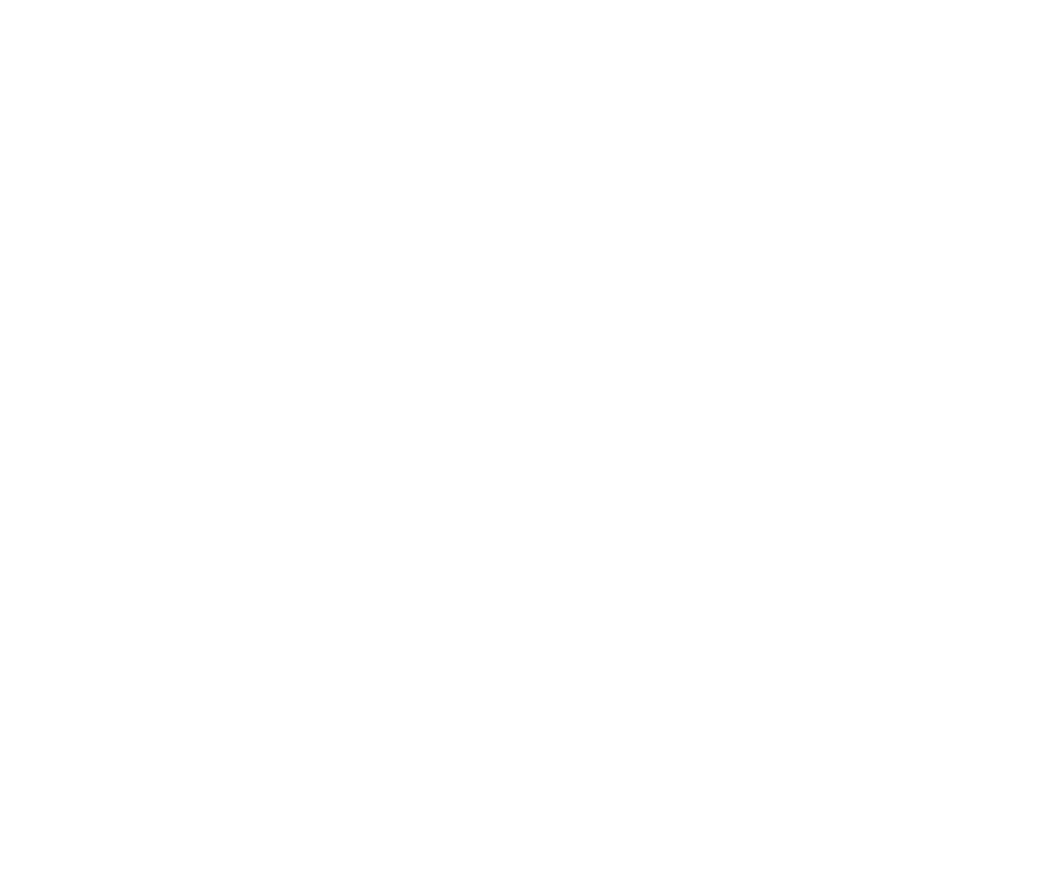 Candidate Flow GmbH logo