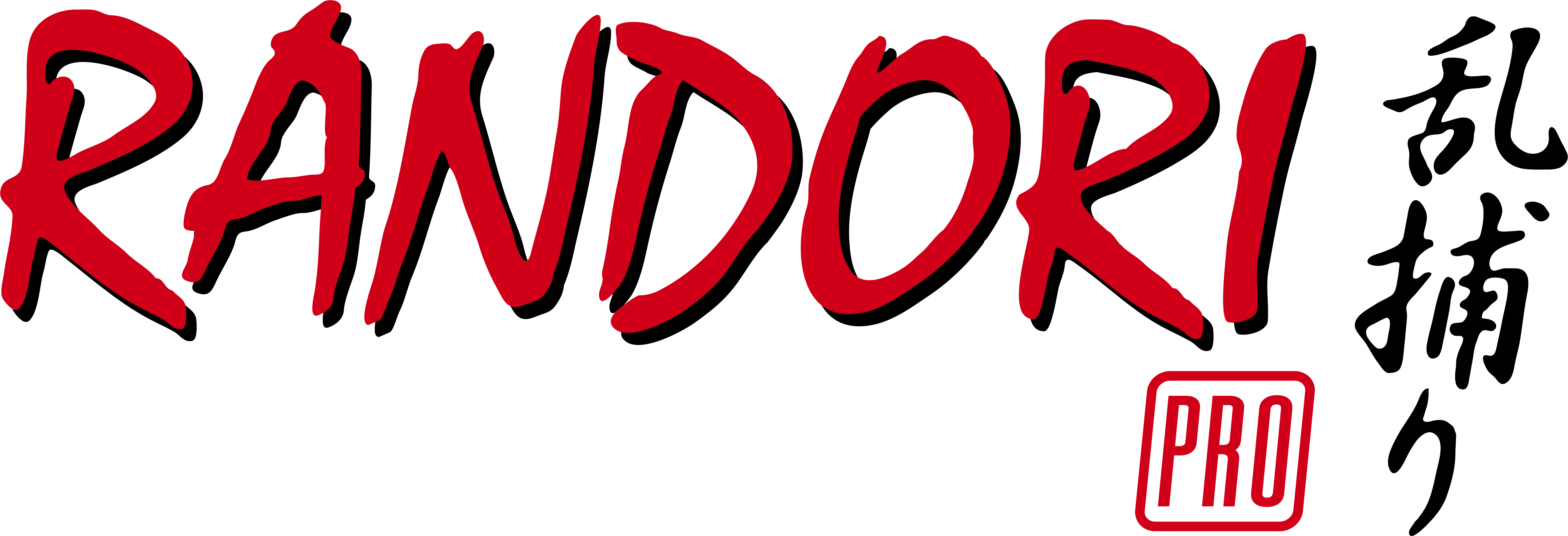 Randori-Pro Management GmbH logo
