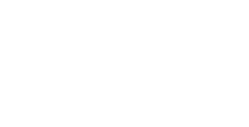 DEMV Systems Gmbh