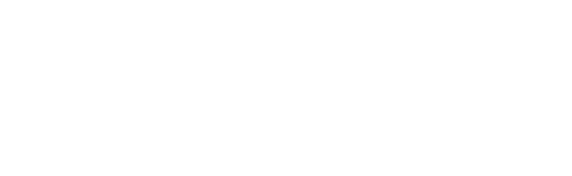 Vertuoza logo
