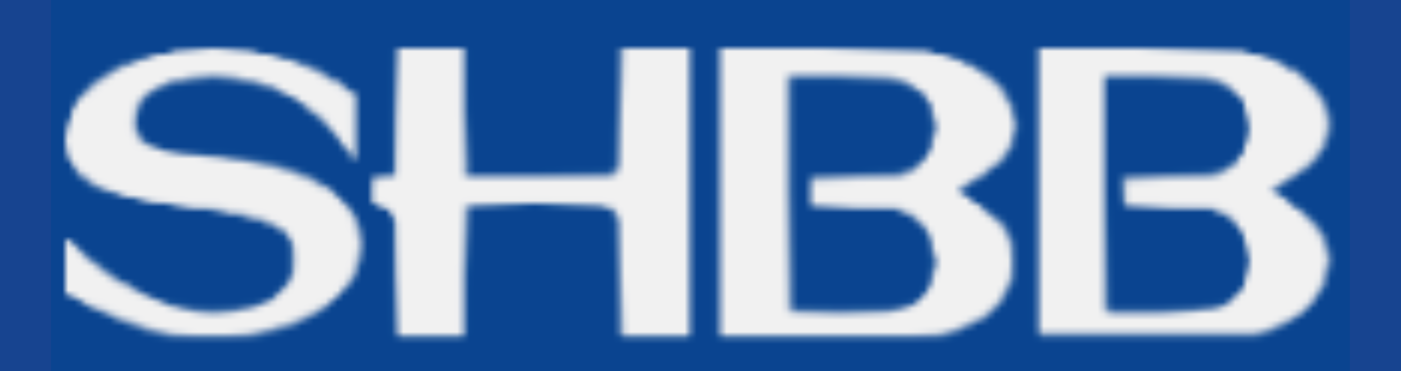Betriebs- und Steuerberatungsgesellschaft SHBB mbH logo