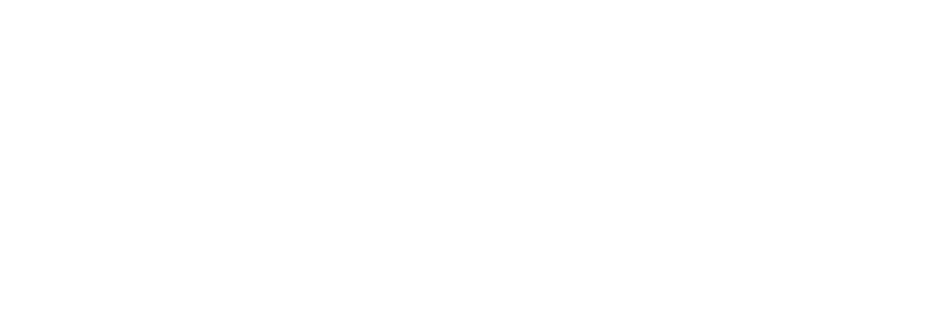 Guidion