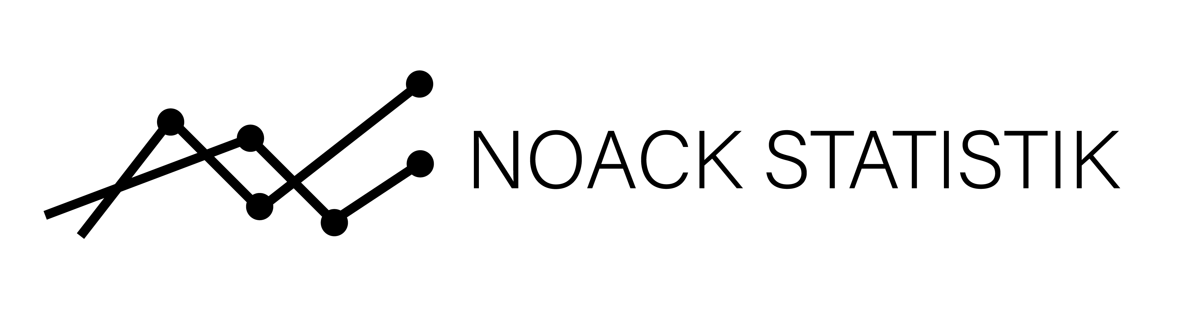 Noack Statistik GmbH logo