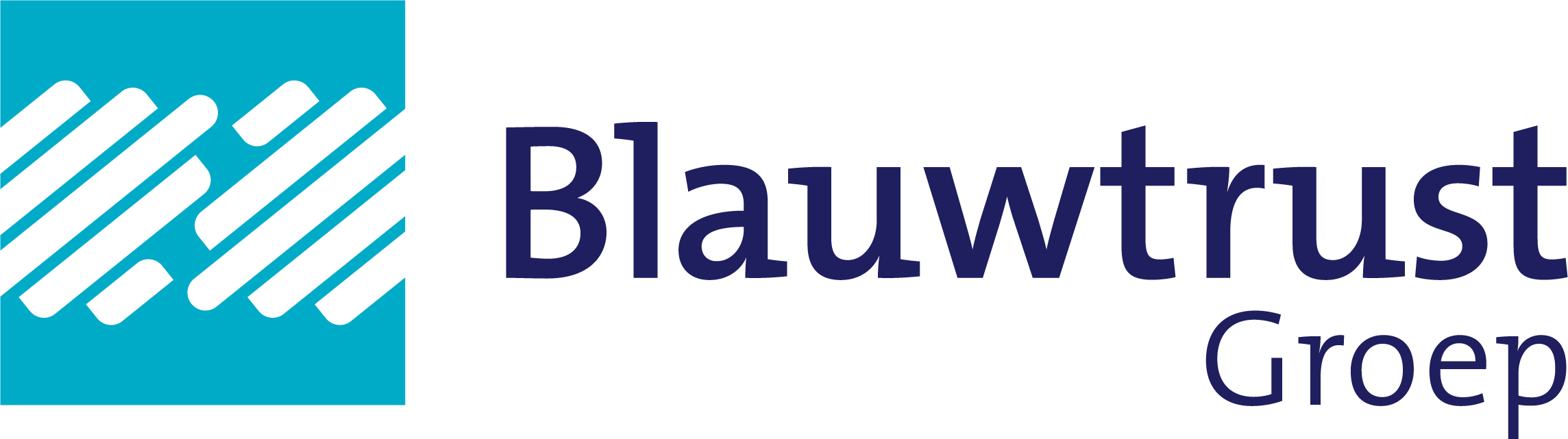Quion Groep B.V. logo