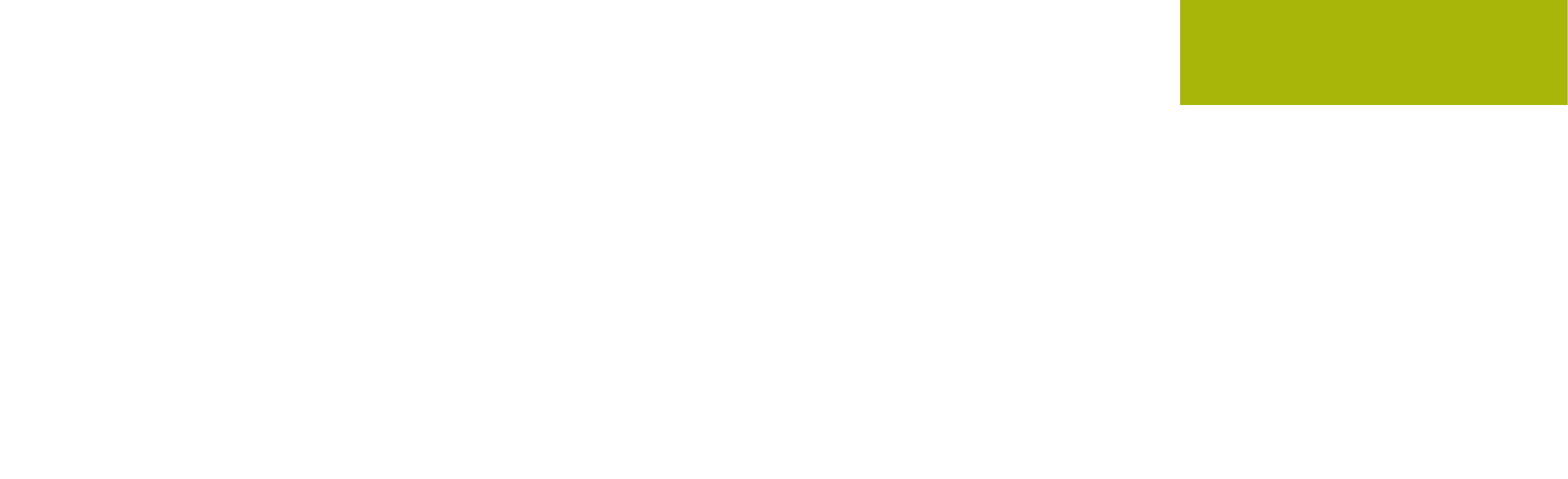 FEST GmbH