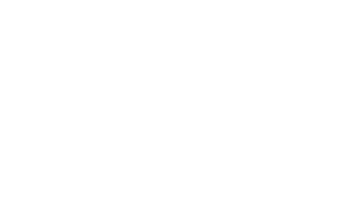 MGI Consultants