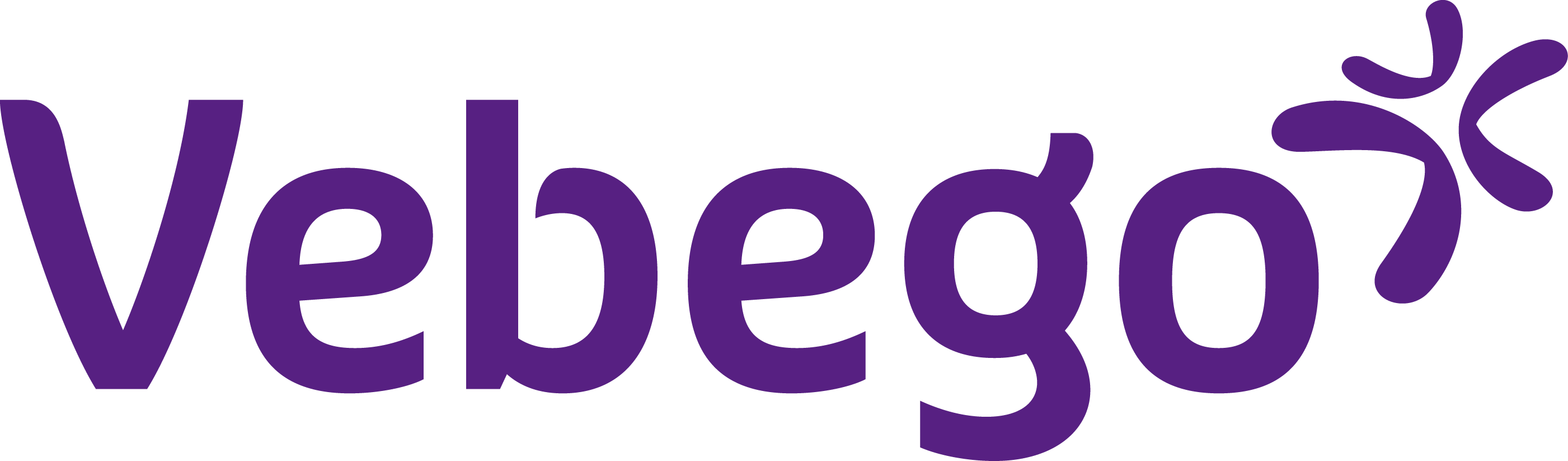Vebego Security Services Germany