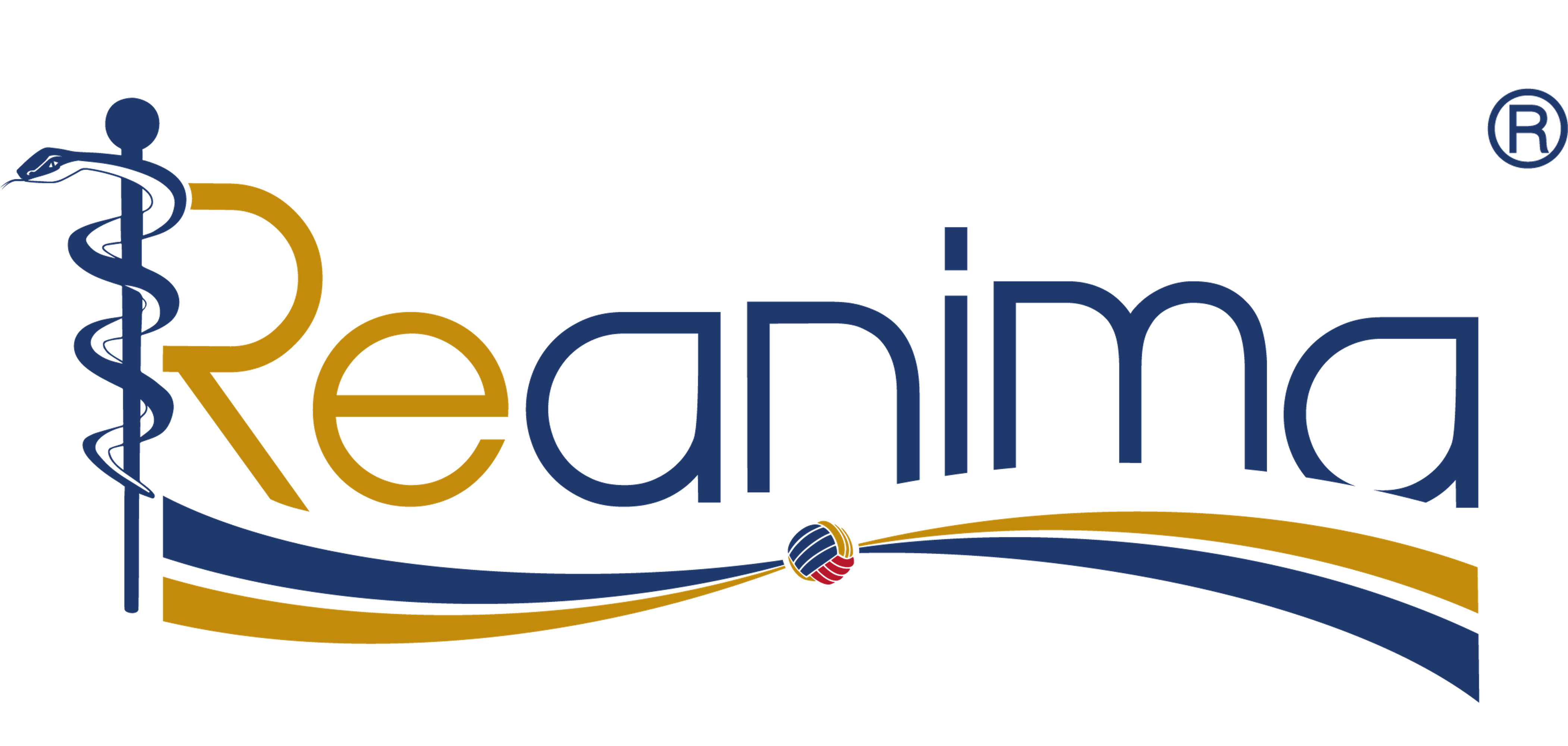 Reanima® Giants GmbH
