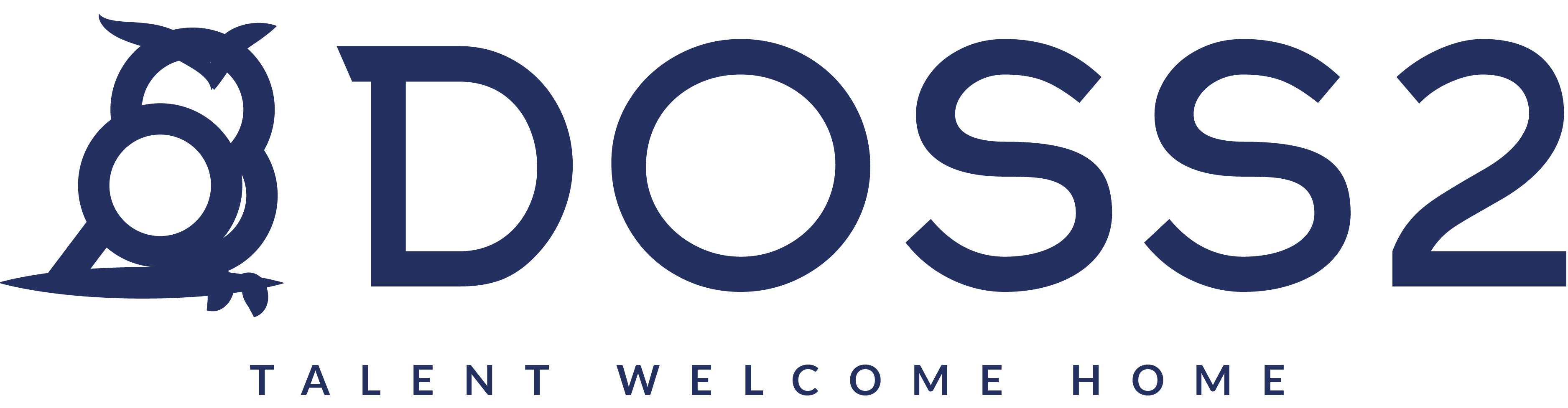 Dirección Operativa de Soluciones S2