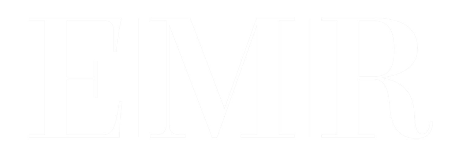 EMR Unternehmensberatung GmbH logo