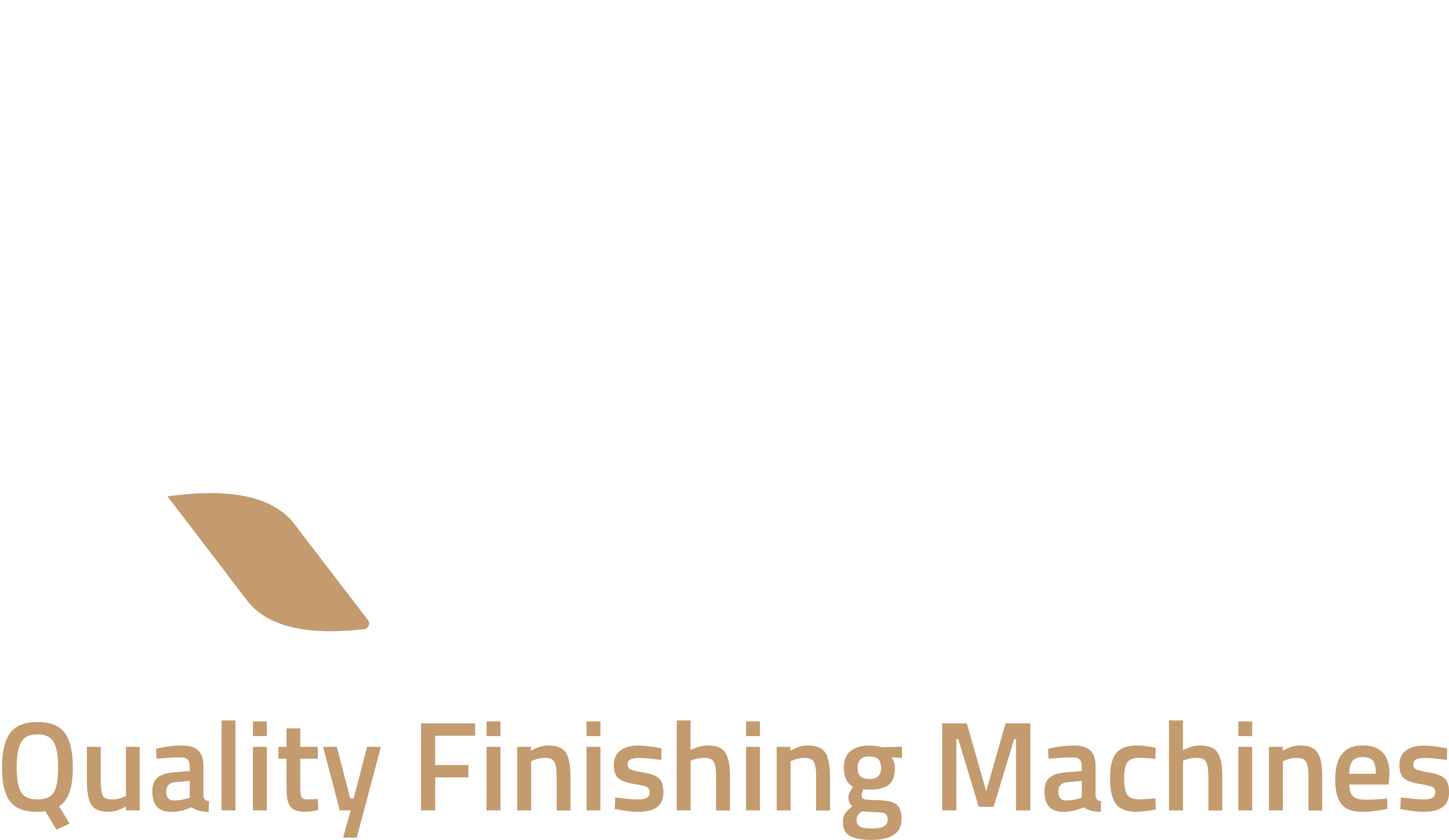 Q-Fin logo
