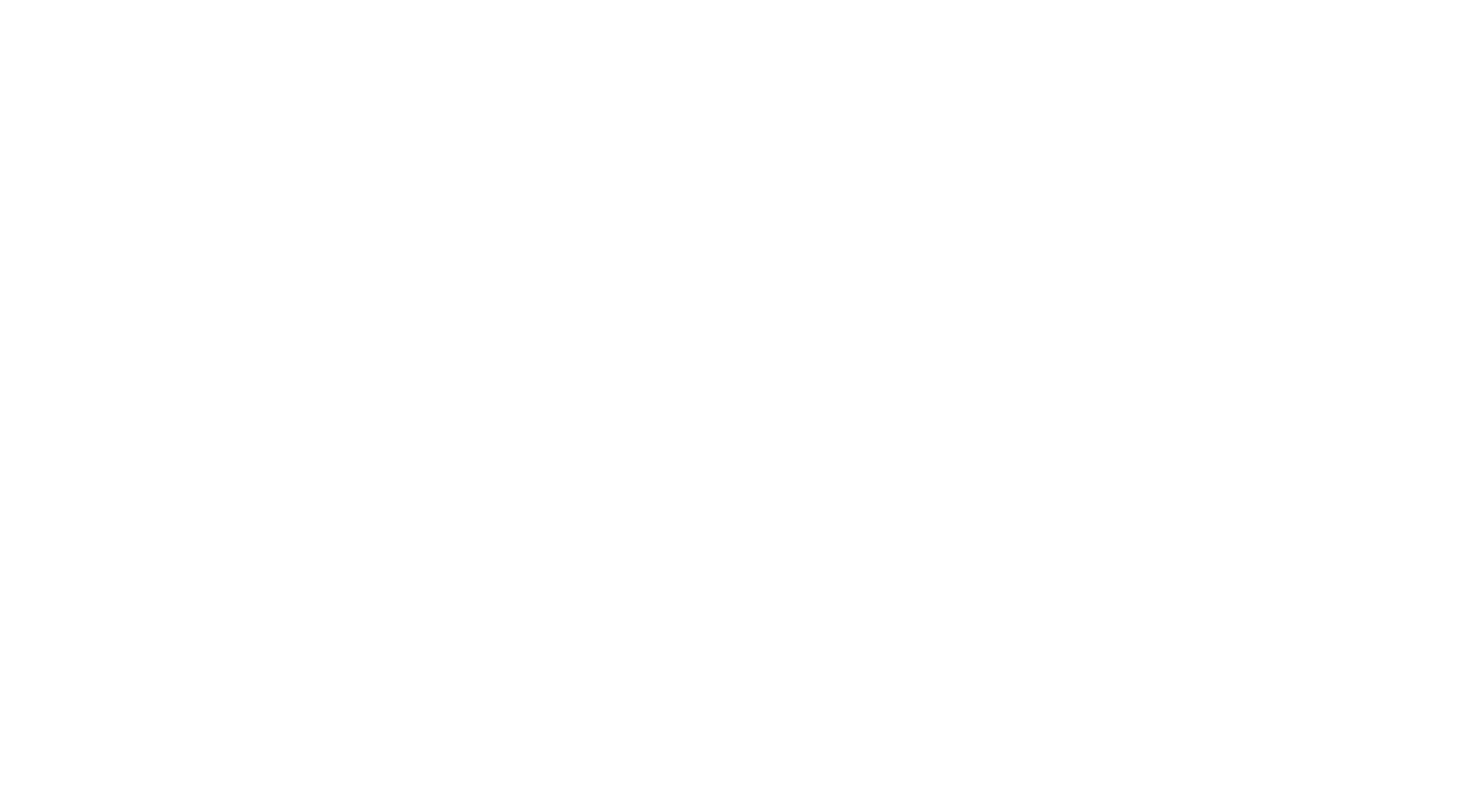 BRIDGING NEIGHBOURS GmbH logo
