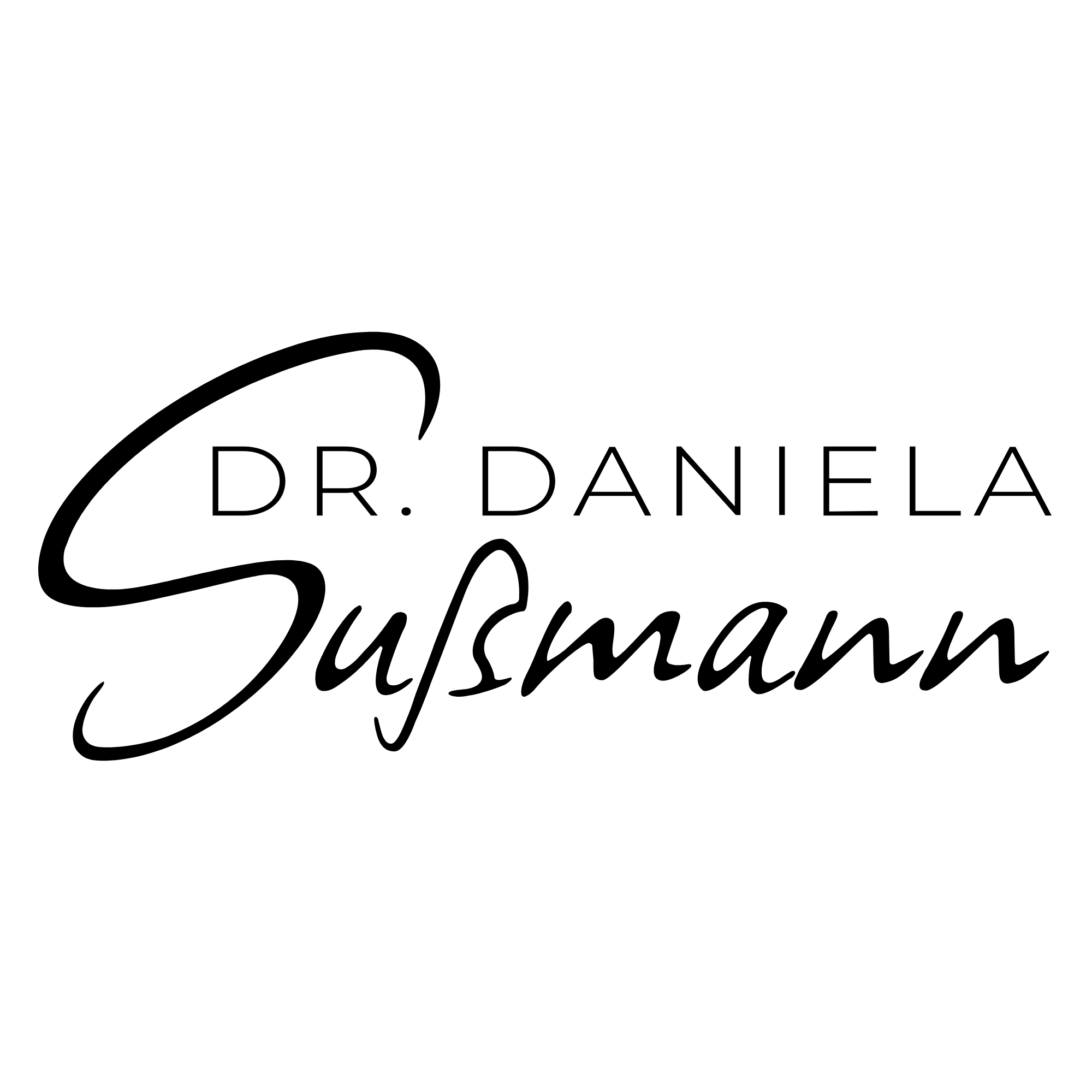 Dr. Sußmann Consulting GmbH logo