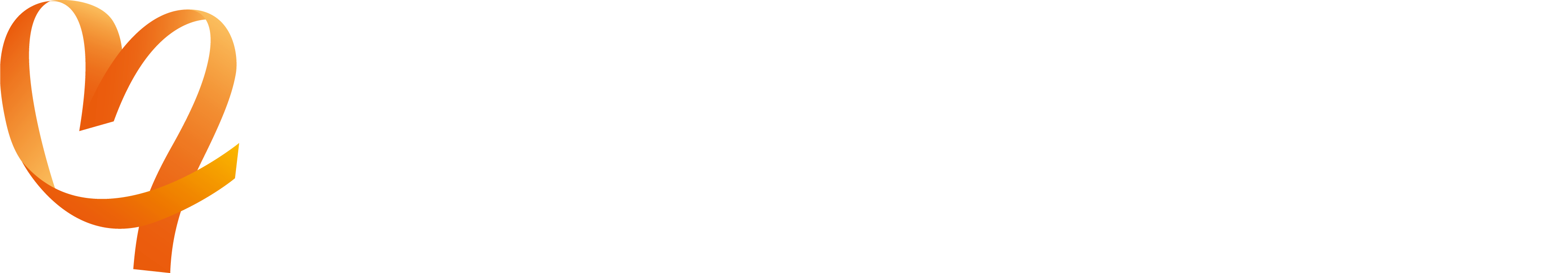 Maastricht UMC+ logo