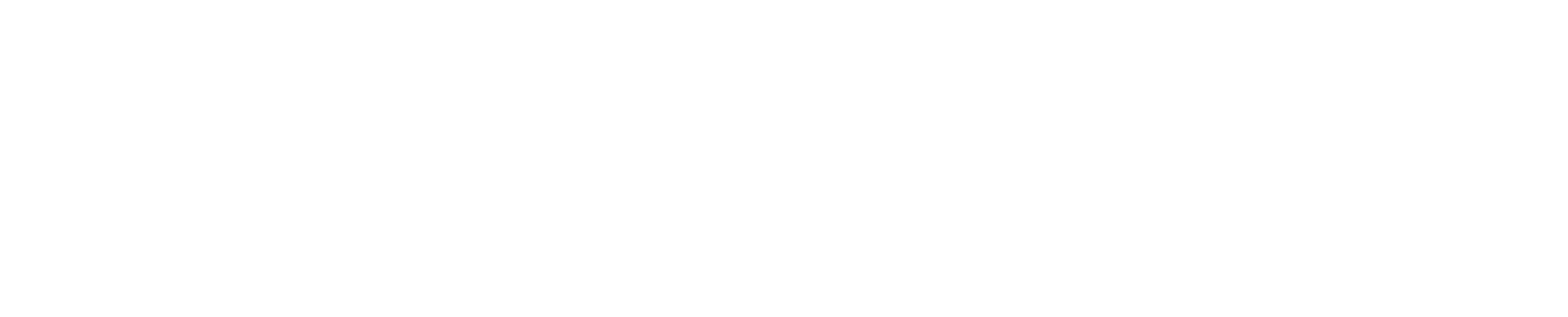 Young Group B.V.