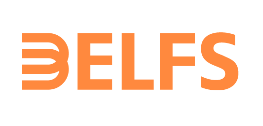 DELFS & PARTNER