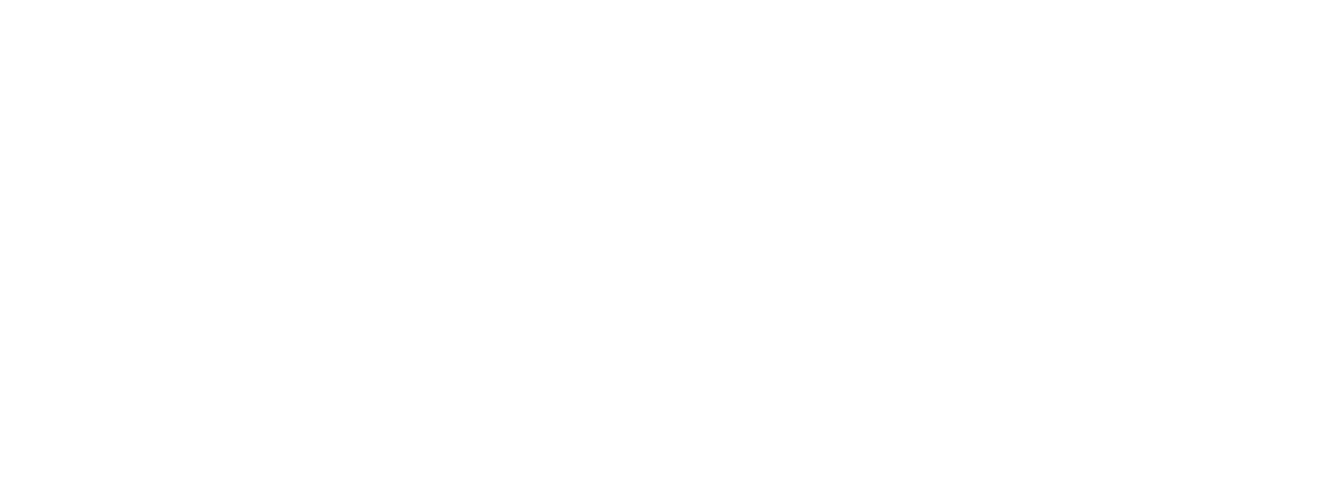 Odyssey Hotel Group