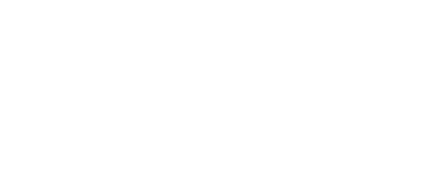bace GmbH