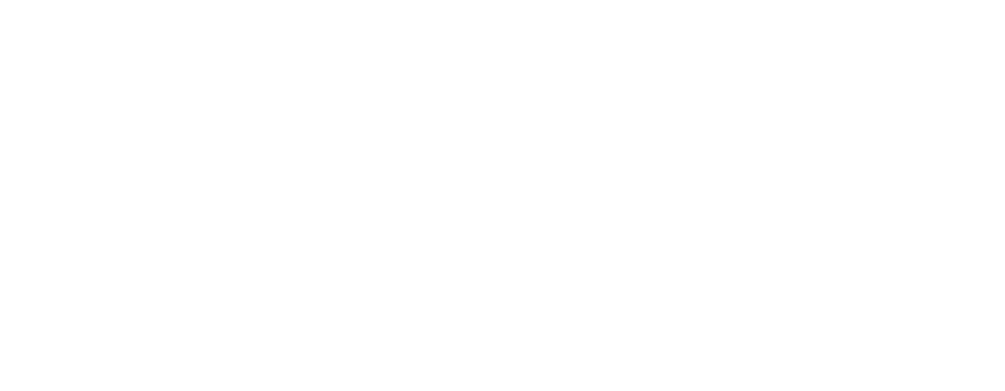 Noldus