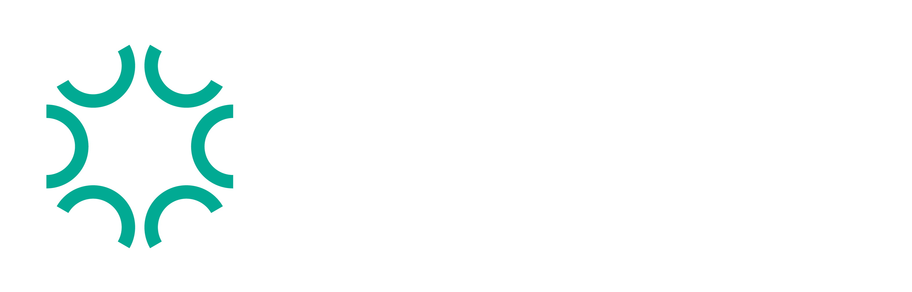Carbeau B.V. logo