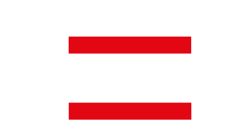 Wach- und Sicherungsdienst in Mecklenburg GmbH und Co. KG logo