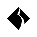 Black Diamond Networks logo