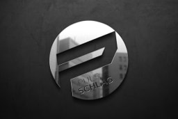 Puls | Schlag logo