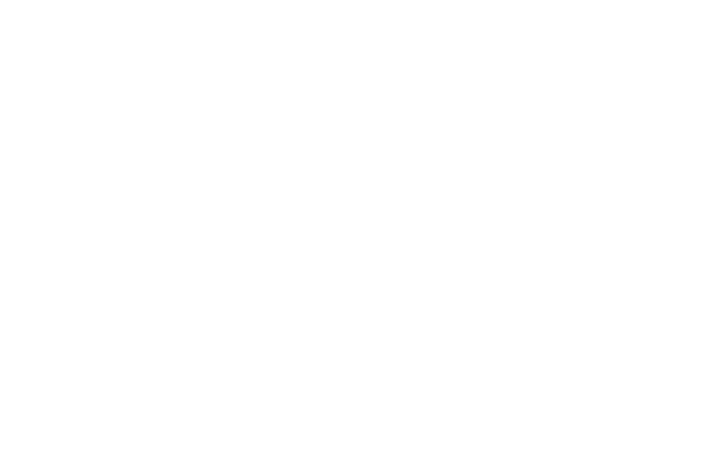 qinX logo