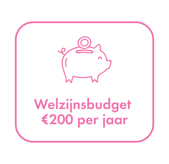 Welzijnsbudget