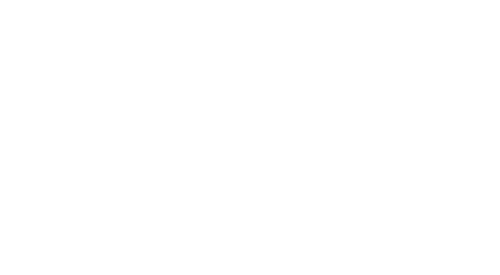 DRS Holding AG logo