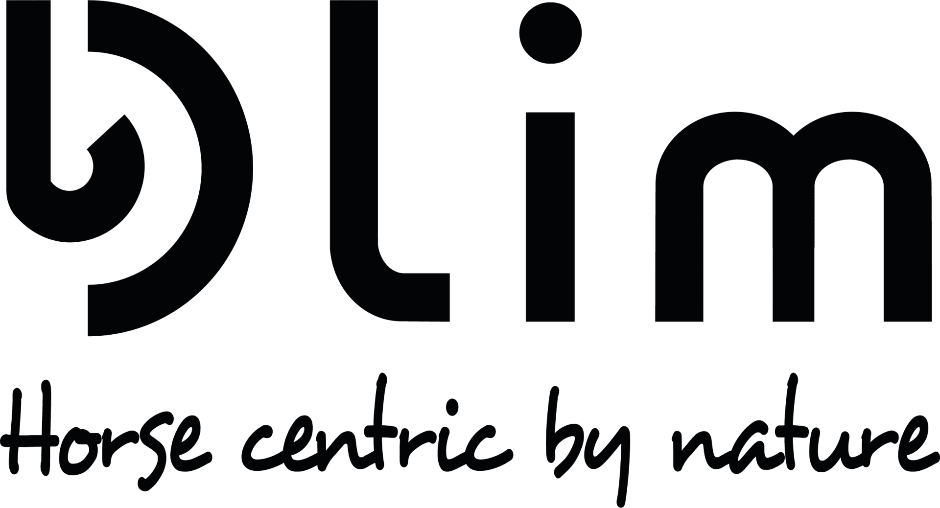 Lim Group logo