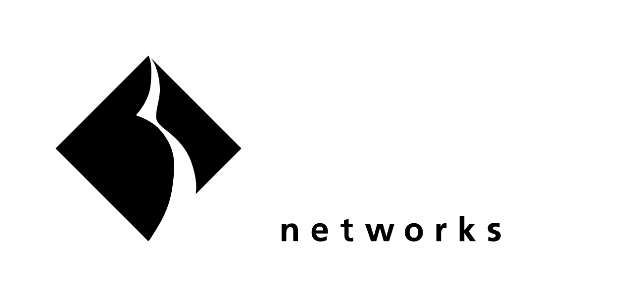 Black Diamond Networks logo