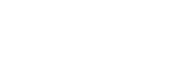 SBES - Schaller Burtscheidt Engels Schüller PartmbB Steuerberater logo