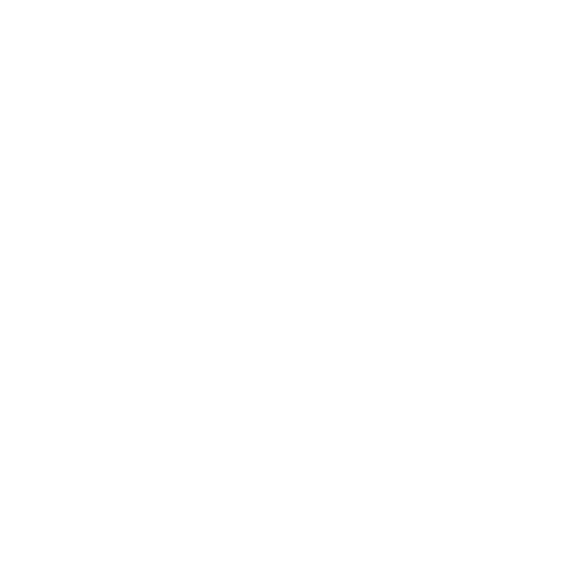 DRS Holding AG logo