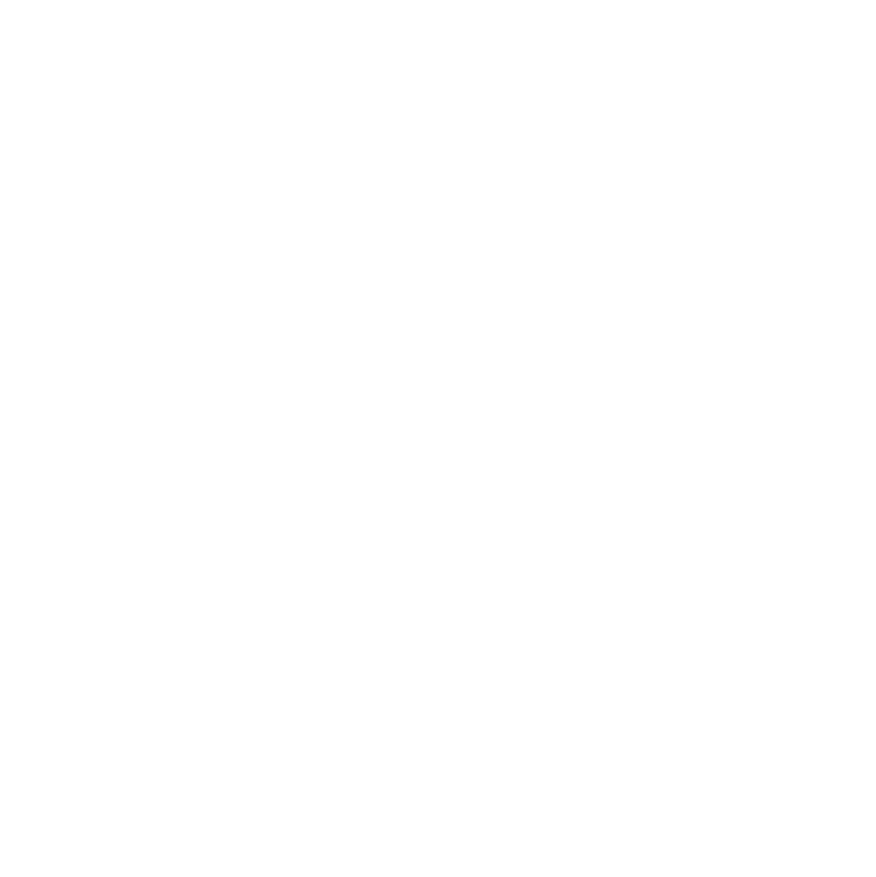 American Partybus