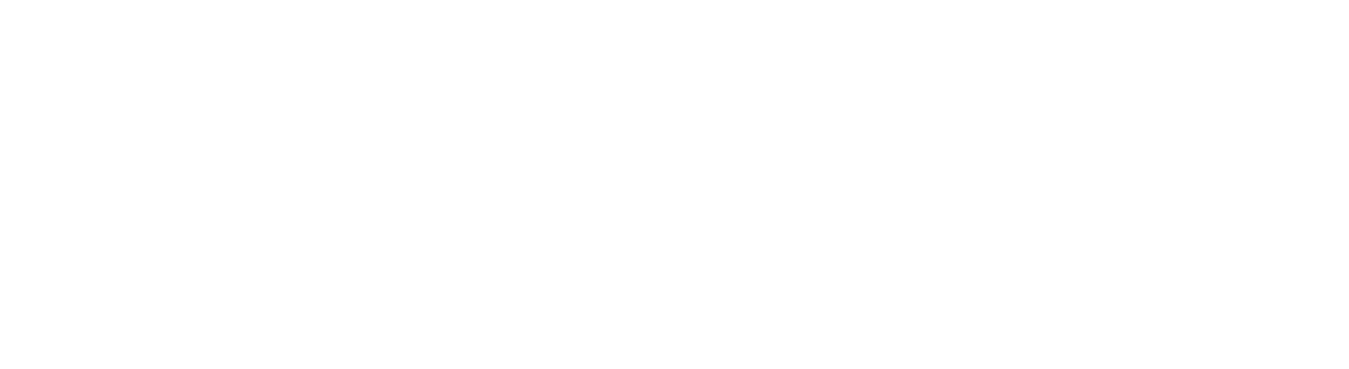 Brainsquare logo