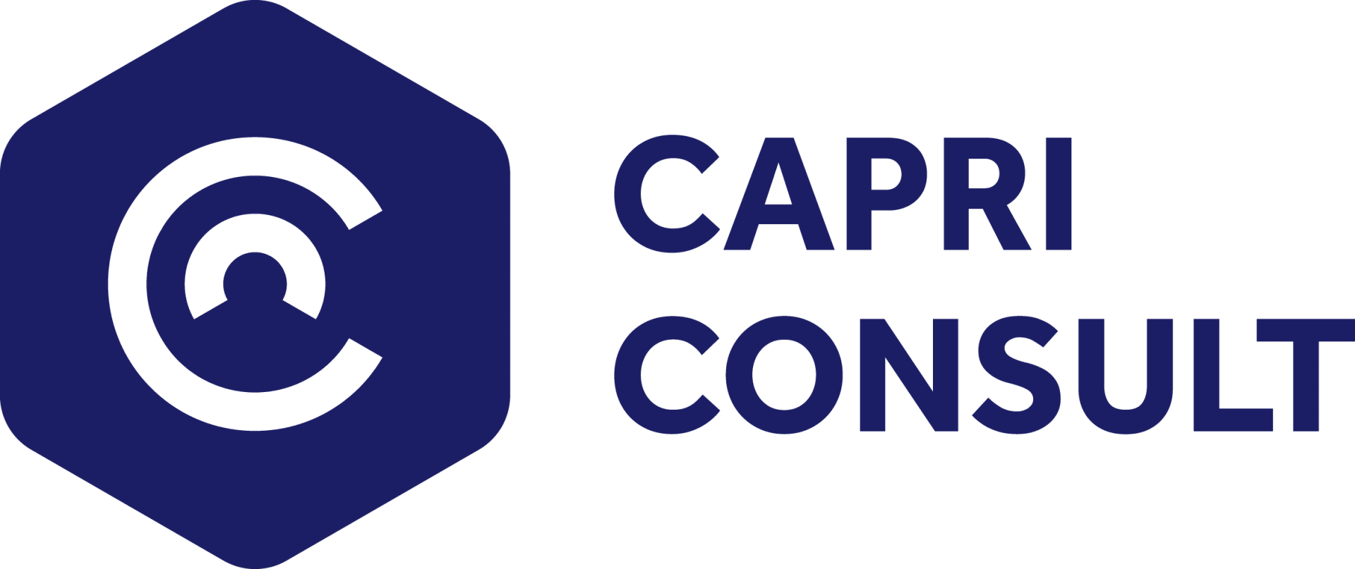 CAPRI CONSULT GmbH logo