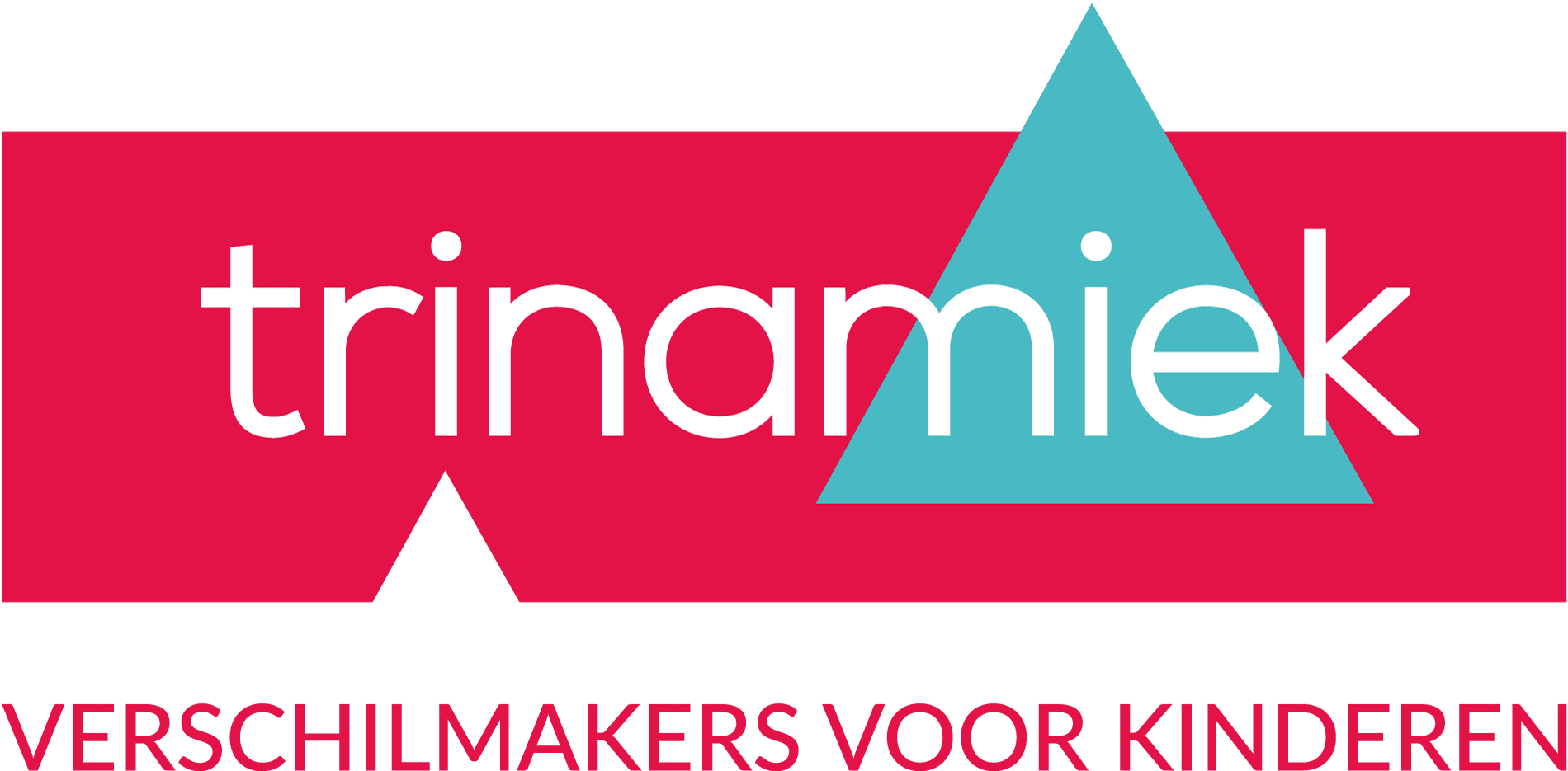 Trinamiek logo
