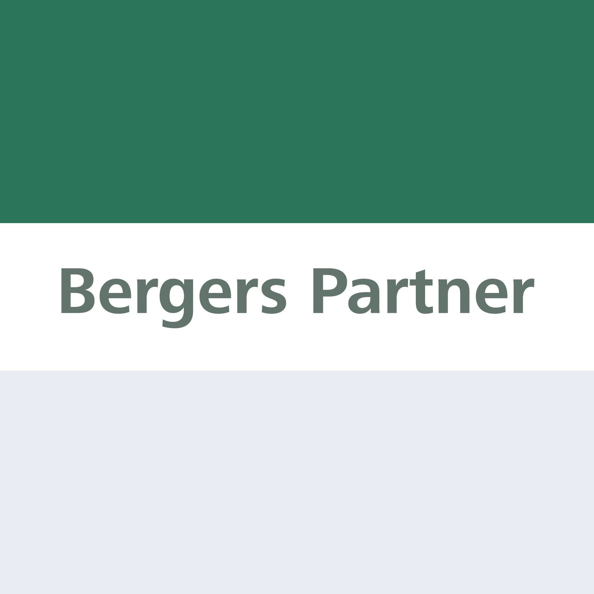 Bergers Partner Steuerberater Wirtschaftsprüfer PartG mbB logo