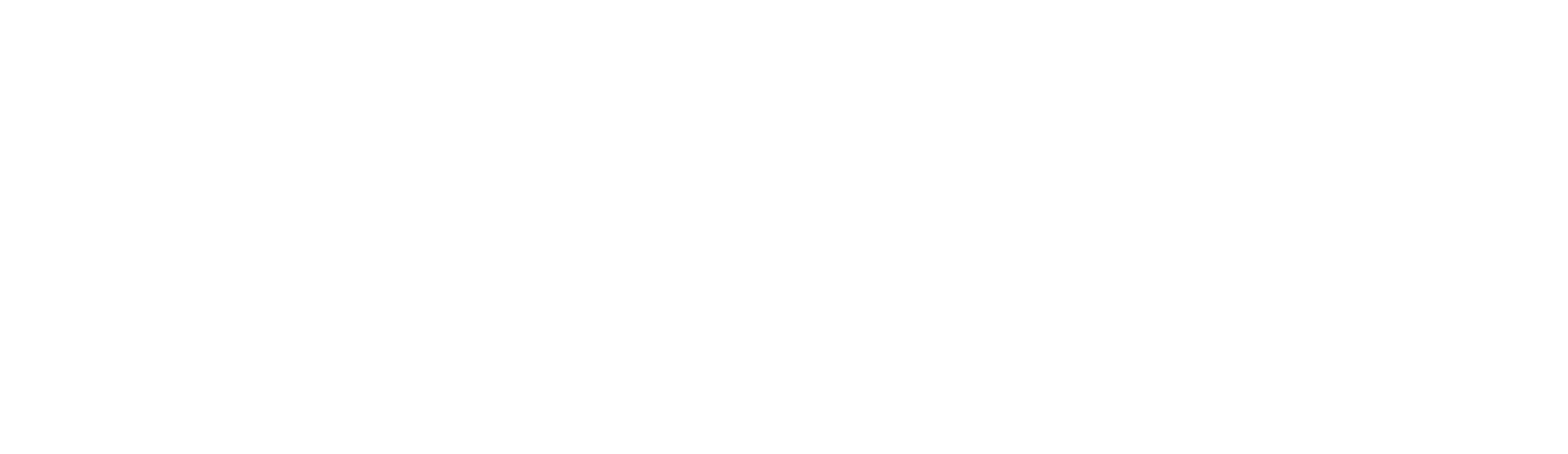 Dolezych GmbH & Co. KG logo