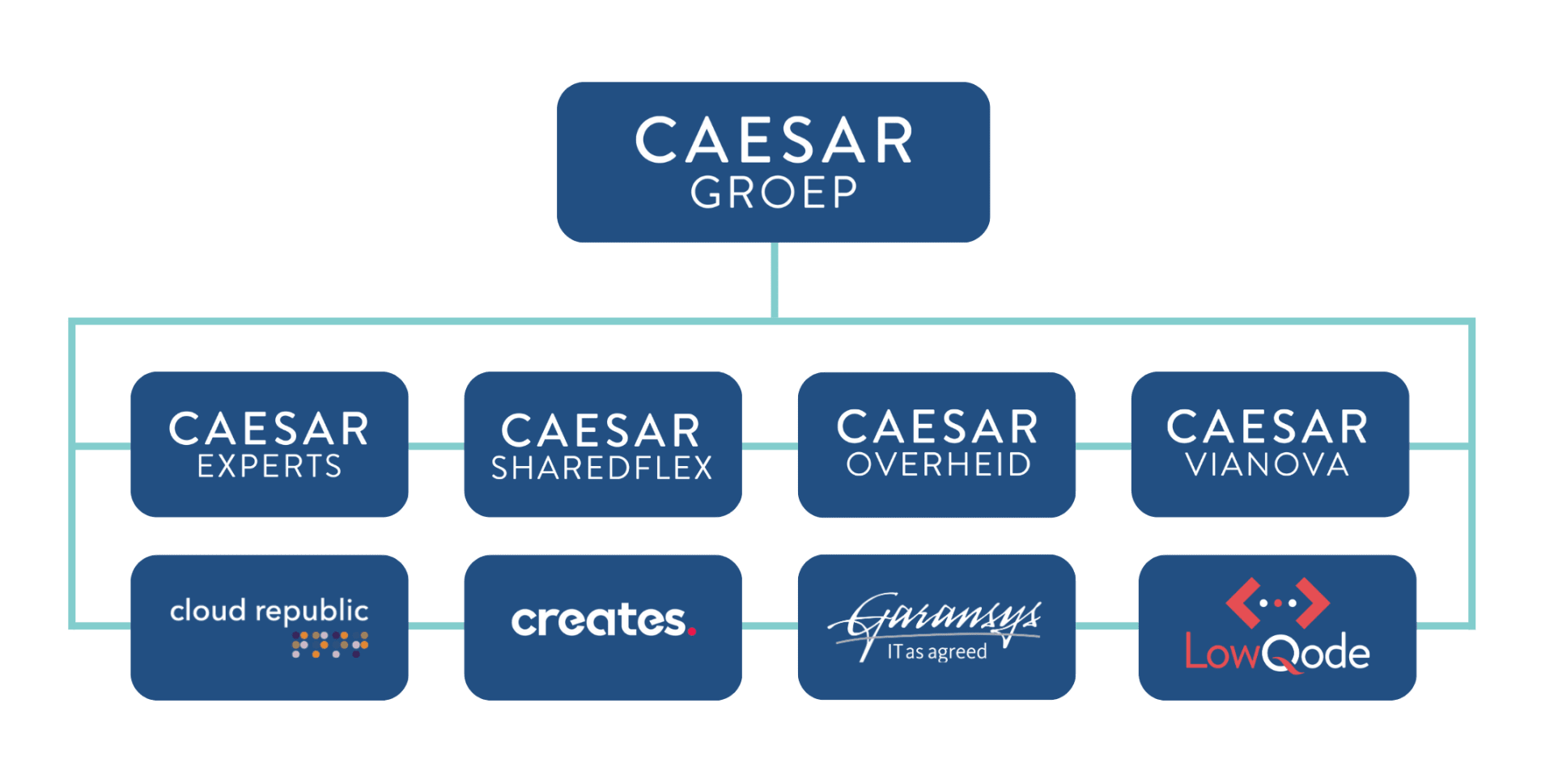 Organogram Caesar Groep 2023