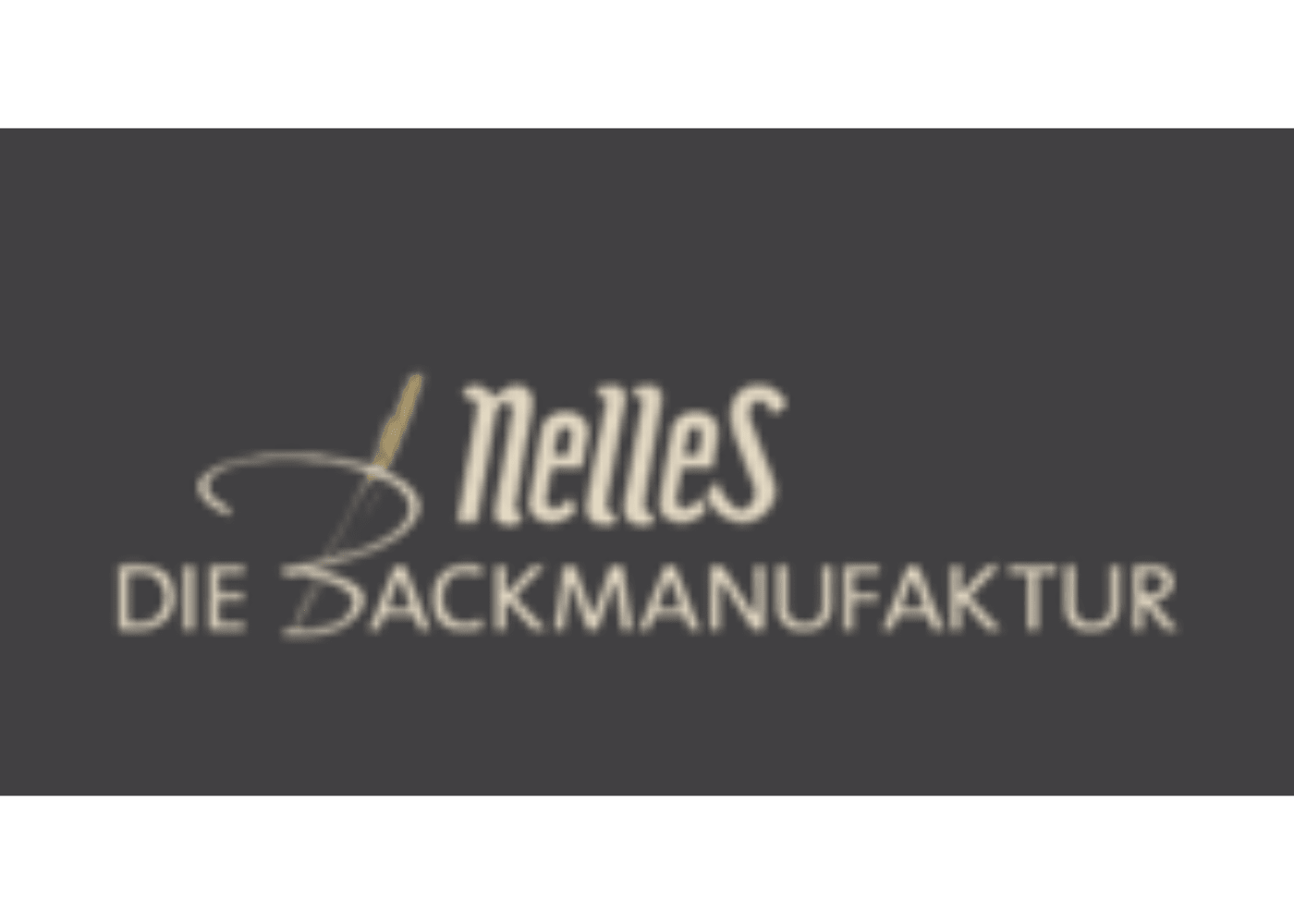 F. und S. Nelles GmbH logo
