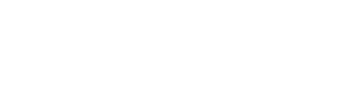 Fietsenwinkel.nl logo
