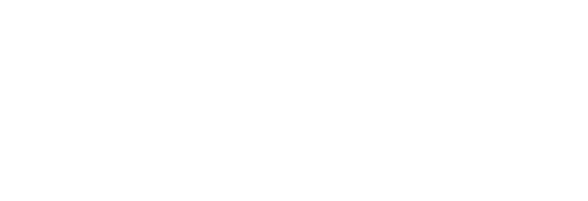 RSW Accountants + Adviseurs logo