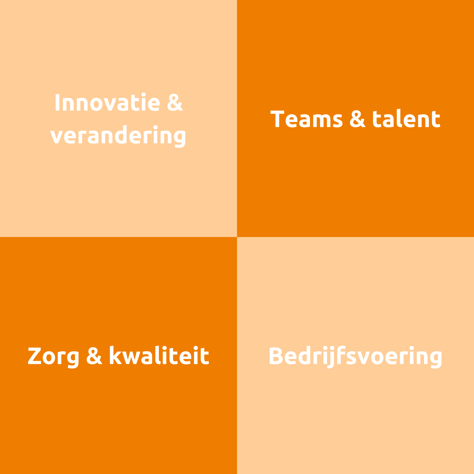 Afbeelding met vier pijlers waar de Integraal Manager bij Groenhuysen aan werkt: Innovatie & Verandering, Teams en Talent, Zorg en Kwaliteit, en Bedrijfsvoering