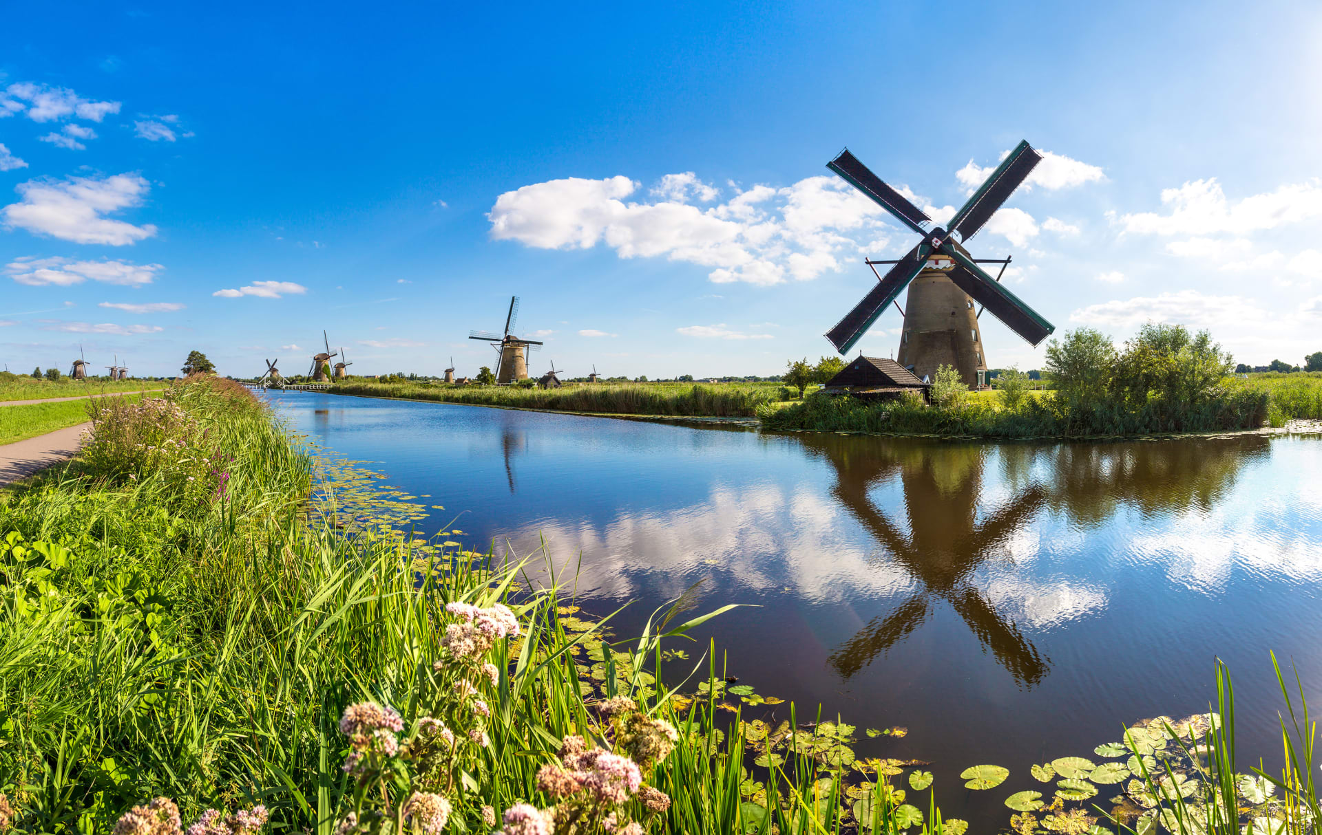 Dutch courses
