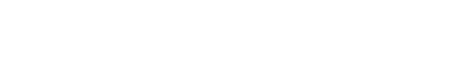 SmartFaster logo