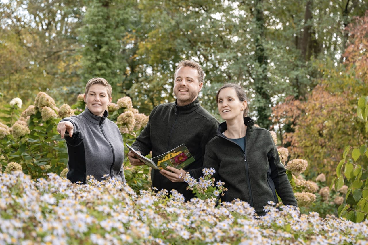Drei Gärtner zeigen auf Pflanzen